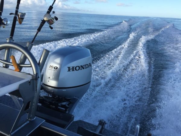 Honda BF 150 - Image 2